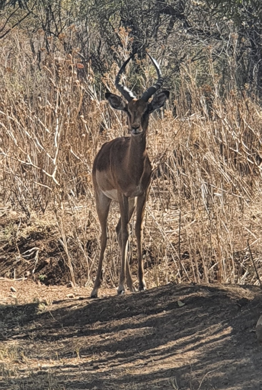 Commercial Property for Sale in La Camargue Private Country Estate North West
